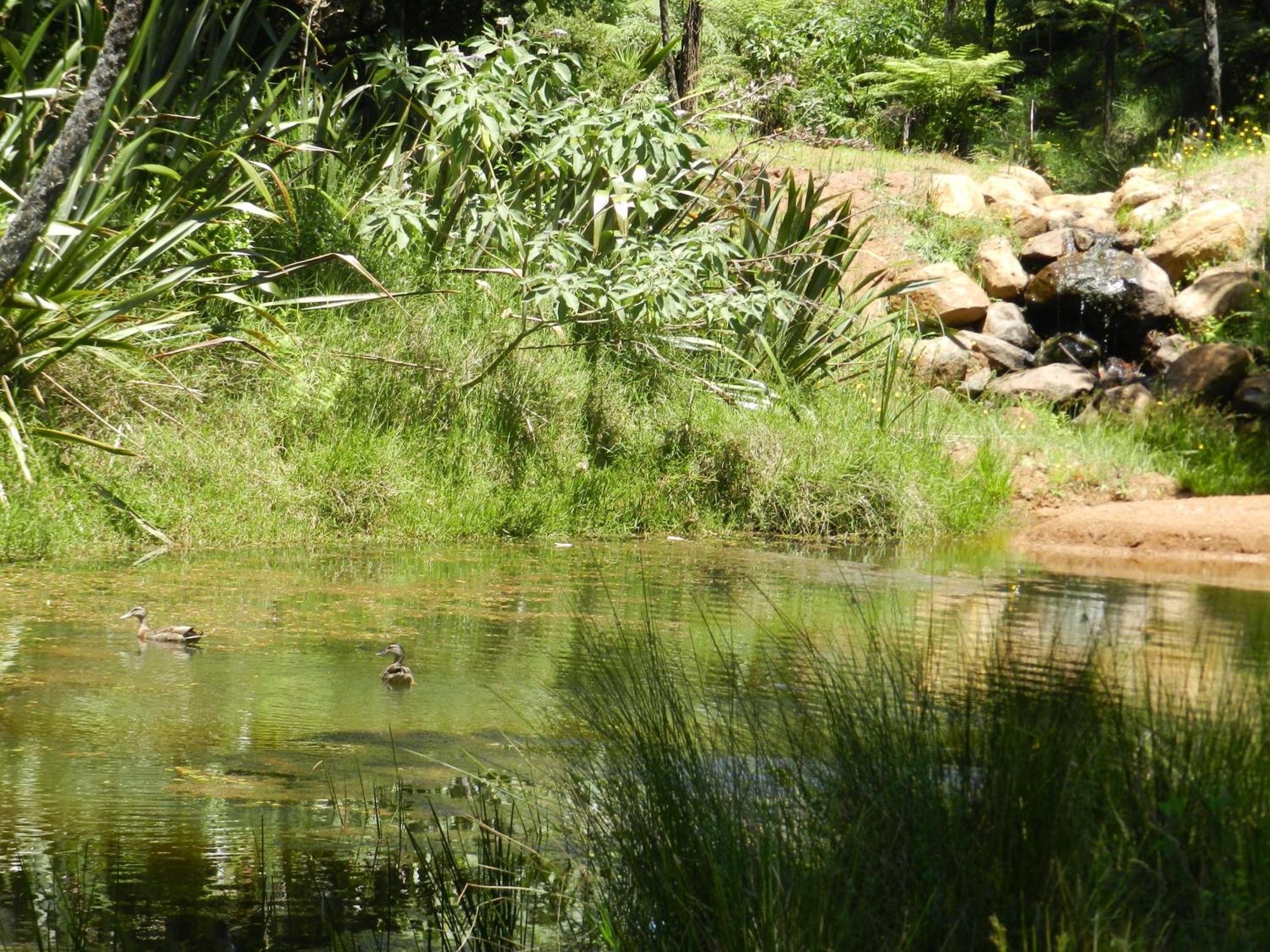 Puketotara Lodge Kerikeri Buitenkant foto