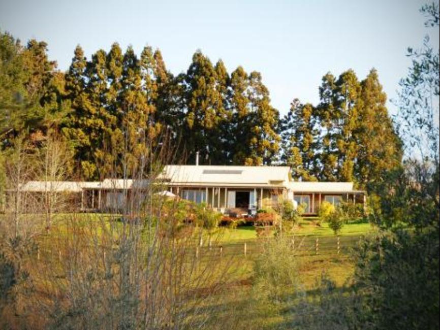 Puketotara Lodge Kerikeri Buitenkant foto