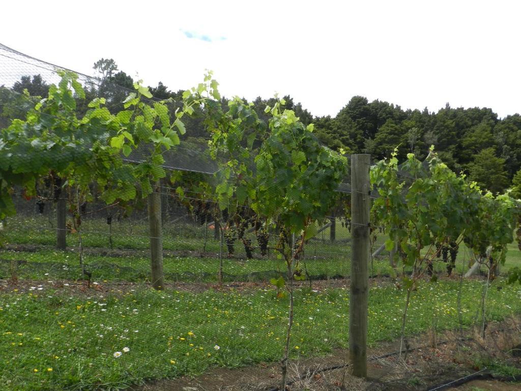 Puketotara Lodge Kerikeri Buitenkant foto